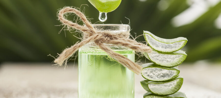 Aloe vera: beneficios y usos en productos orgánicos de salud y belleza