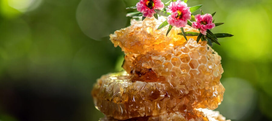Todo lo que necesitas saber sobre la miel de Manuka