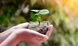 ¿Qué significa Bio y Orgánico?