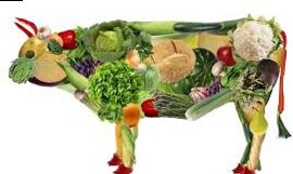 Todo lo que necesitas saber sobre los productos no alimentarios veganos