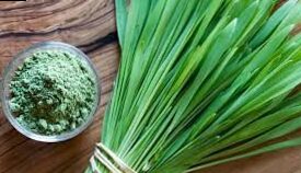 Cebada verde: beneficios, propiedades y métodos de consumo.