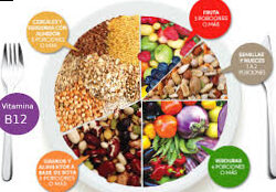 Dieta vegana: guía completa para principiantes